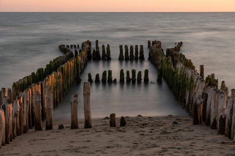 Emergency Response Planning and Disaster Management