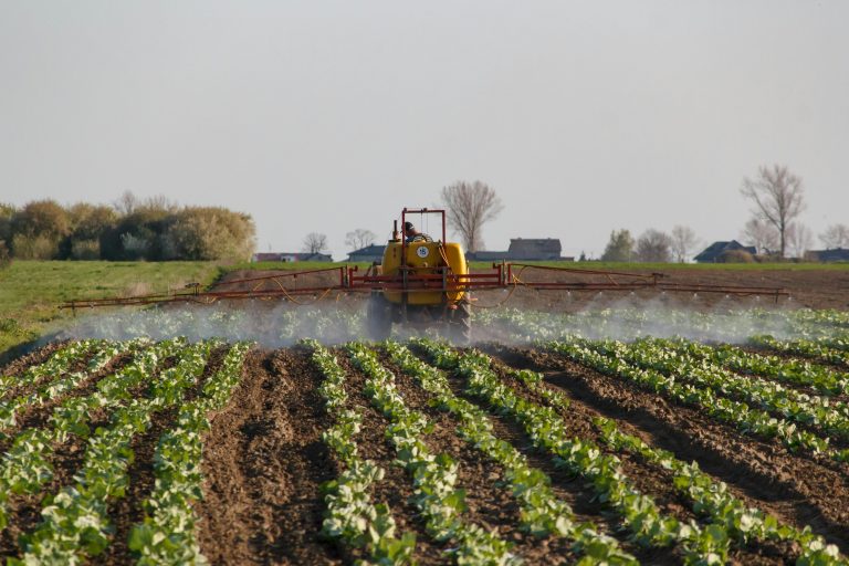 Tractor spraying a vibrant farm field. Capturing modern agriculture in action.