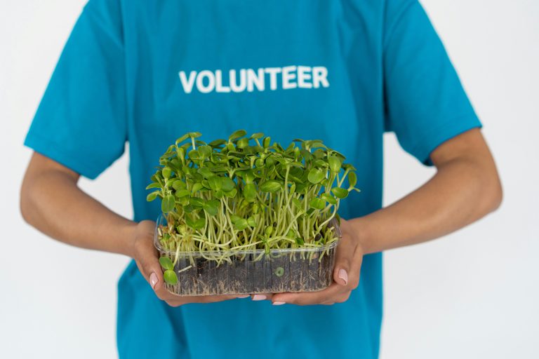 A person wearing a volunteer shirt holds young green plants, symbolizing environmental conservation and planting efforts.