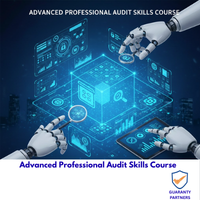Advanced Professional Audit Skills Course