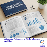 Advanced Techniques in Modern Internal Auditing