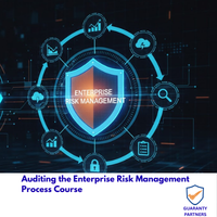Auditing the Enterprise Risk Management Process Course