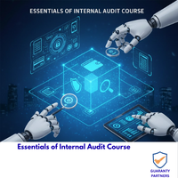 Essentials of Internal Audit Course
