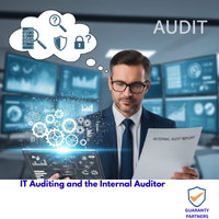 IT Auditing and the Internal Auditor