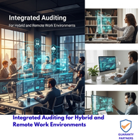 Integrated Auditing for Hybrid and Remote Work Environments