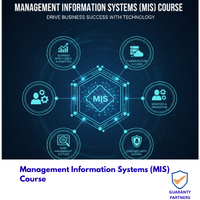Management Information Systems (MIS) Course Management Information Systems (MIS) Course