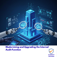 Modernizing and Upgrading the Internal Audit Function
