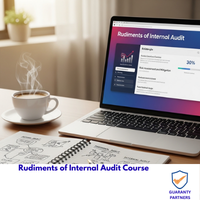 Rudiments of Internal Audit Course Rudiments of Internal Audit Course