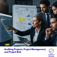 Auditing Projects, Project Management, and Project Risk