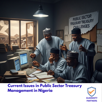 Current Issues in Public Sector Treasury Management in Nigeria