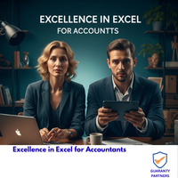 Excellence in Excel for Accountants