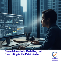 Financial Analysis, Modelling and Forecasting in the Public Sector