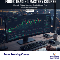 Forex Training Course