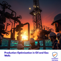 Production Optimization in Oil and Gas Wells
