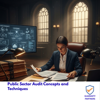 Public Sector Audit Concepts and Techniques Public Sector Audit Concepts and Techniques