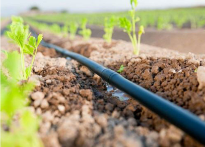 Soil Management System Course